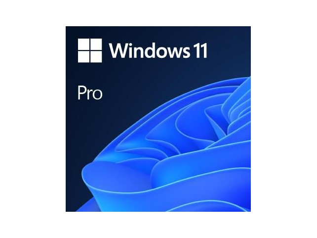 Microsoft FQC-10532 Windows 11 Pro OEM French  x x NON PHYSICAL x x