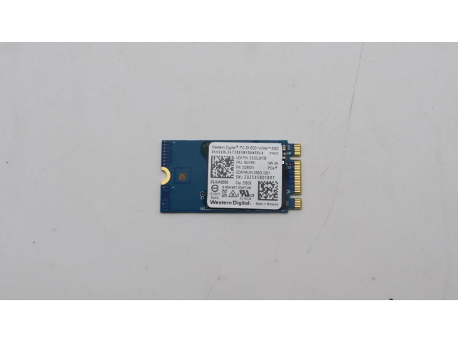 Lenovo SSD M.2 PCIe NVMe FRU SSD  256GB RoHS WD M.2-2242 SN520