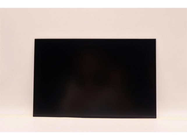Lenovo DISPLAY AUO 14.0 WUXGA AG  