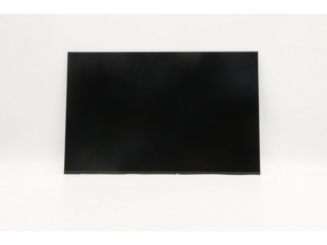 Lenovo DISPLAY AUO 16.0 WUXGA IPS AG  