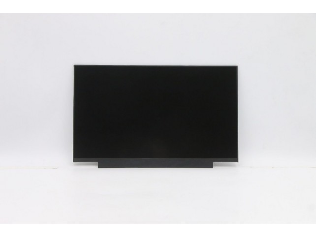 Lenovo FRU LCD SD10W73327(Odin AUO  14" FHDIPS AG LCLW 300nit