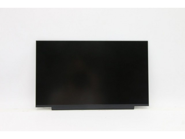 Lenovo FRU of SD11B61733 14.0  ePrivacy flat Coretronic (L