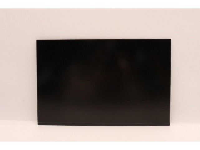 Lenovo DISPLAY Coretronic 14 WUXGA AG  