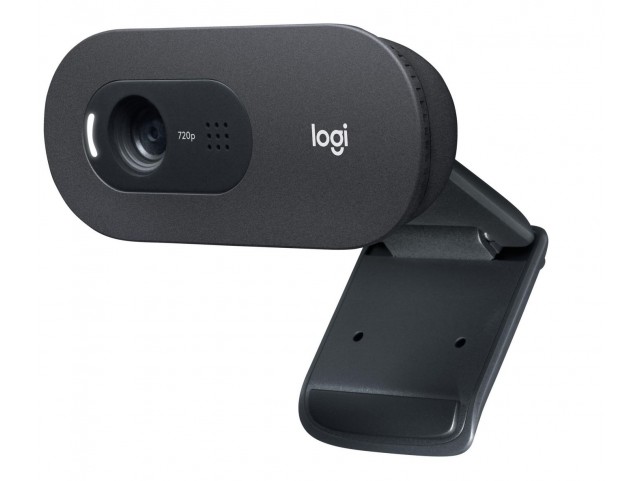 Logitech C505 webcam 1280 x 720 pixels  USB Black C505, 1280 x 720
