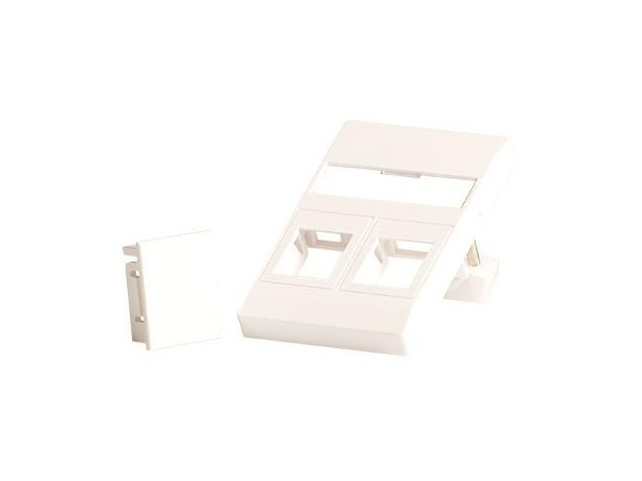 Lanview Wall plate for 2 x keystone.  Fits 50x75 mm FUGA outlet,