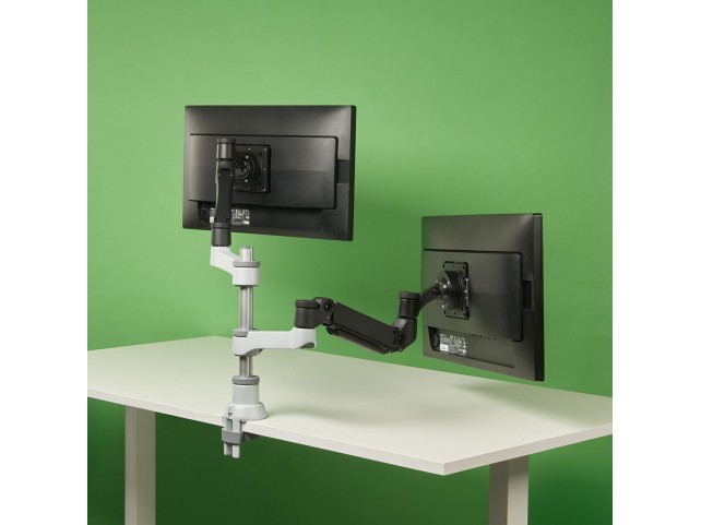 R-Go Tools R-Go Caparo 4 Twin Monitor Arm  gas spring, 3-9 kg, dynamic