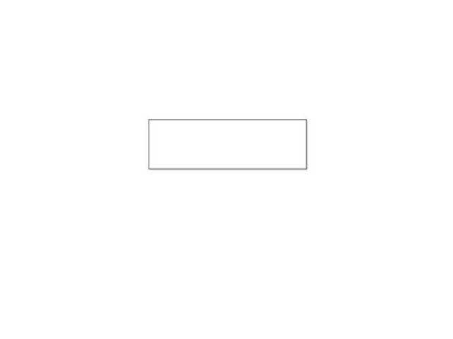 Seiko Instruments 28 x 89 mm 520 pcs. (2  roll(s) x 260) address labels