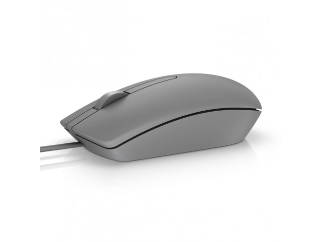 Dell MS116 USB Optical Mouse,  Positive labeling, PE,
