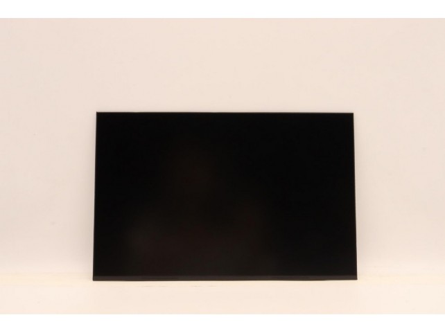 Lenovo DISPLAY IVO 14.0 WUXGA AG  