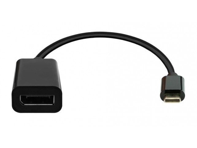 ProXtend USB-C to DisplayPort adapter  20cm black
