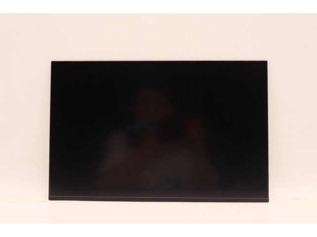 Lenovo DISPLAY INX 14.0 WUXGA AG LCLW  