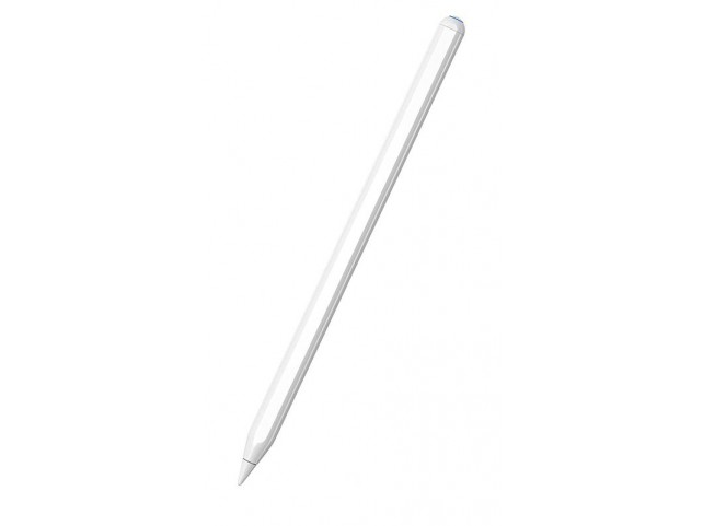 iPad Stylus Pen. Magnetic and  USB-C charging. Capacitive.