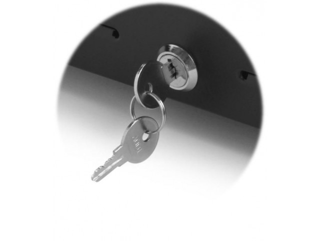 Capture Spare lock for CA-CD330-480  Including 2 keys