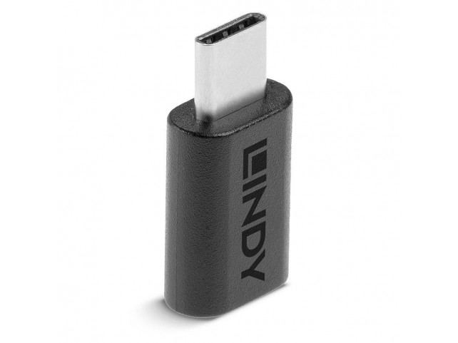 Lindy USB 3.2 Type C to C Adapter  