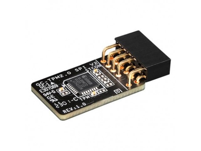 Gigabyte Gc-Tpm 2.0 Spi V2  