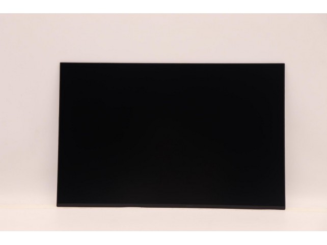 Lenovo DISPLAY FRU CSO MNG007JA1-4  16.0 WUX