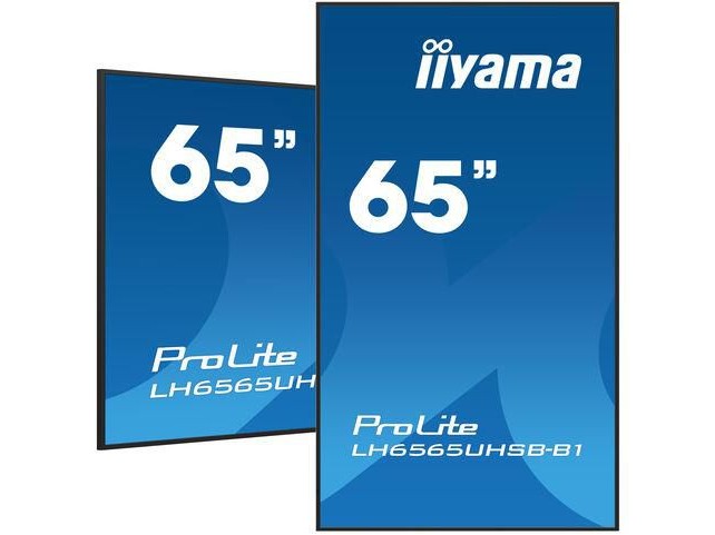 iiyama 65 3840x2160 UHD IPS panel  